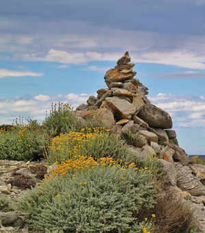 ddos压力在线测试平台